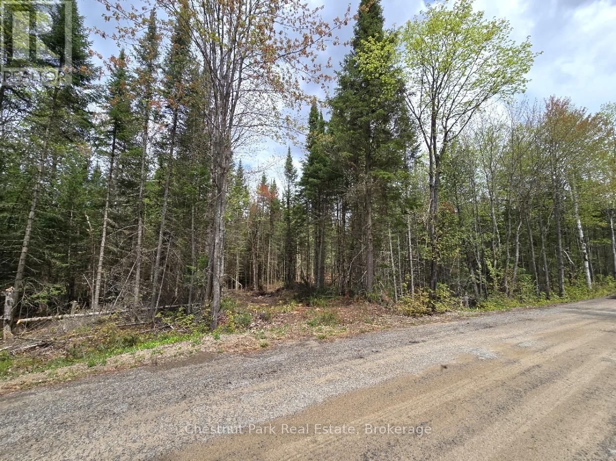 Part 2 Echo Ridge Road, Kearney, Ontario  P0A 1M0 - Photo 2 - X12156749