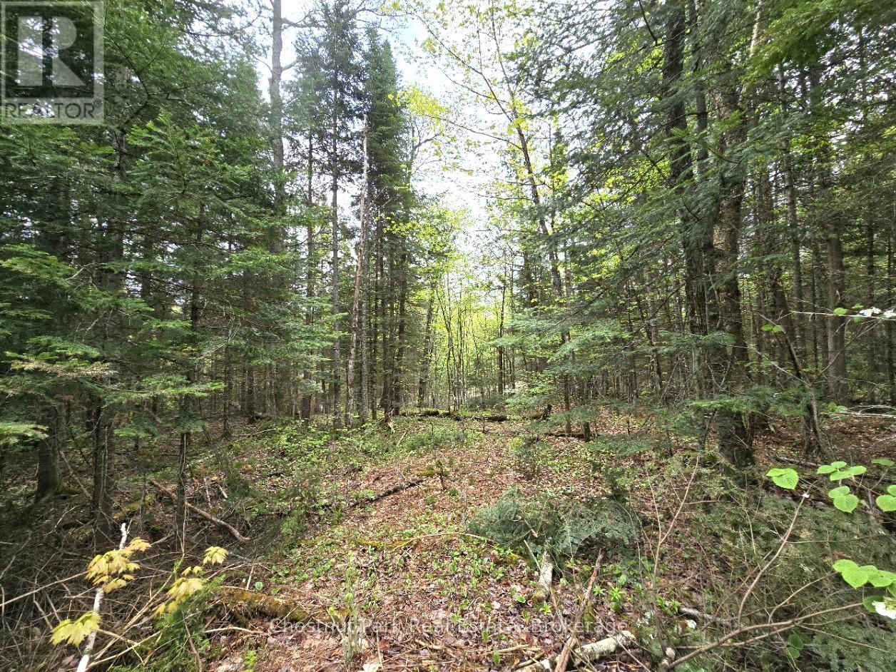 Part 2 Echo Ridge Road, Kearney, Ontario  P0A 1M0 - Photo 20 - X12156749