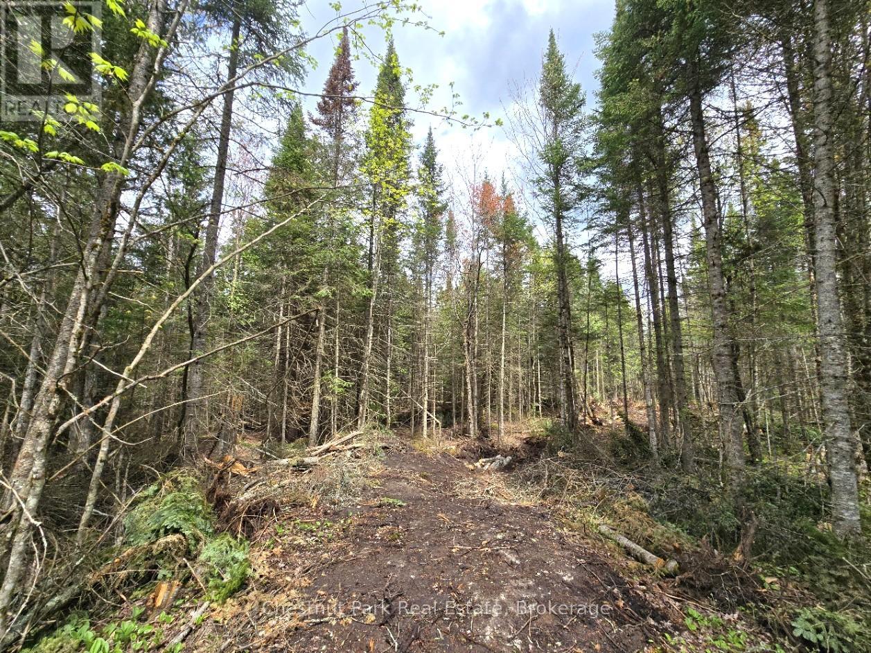 Part 2 Echo Ridge Road, Kearney, Ontario  P0A 1M0 - Photo 24 - X12156749