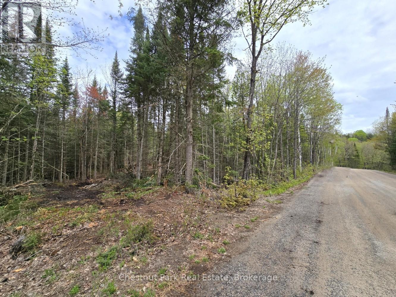 Part 2 Echo Ridge Road, Kearney, Ontario  P0A 1M0 - Photo 29 - X12156749
