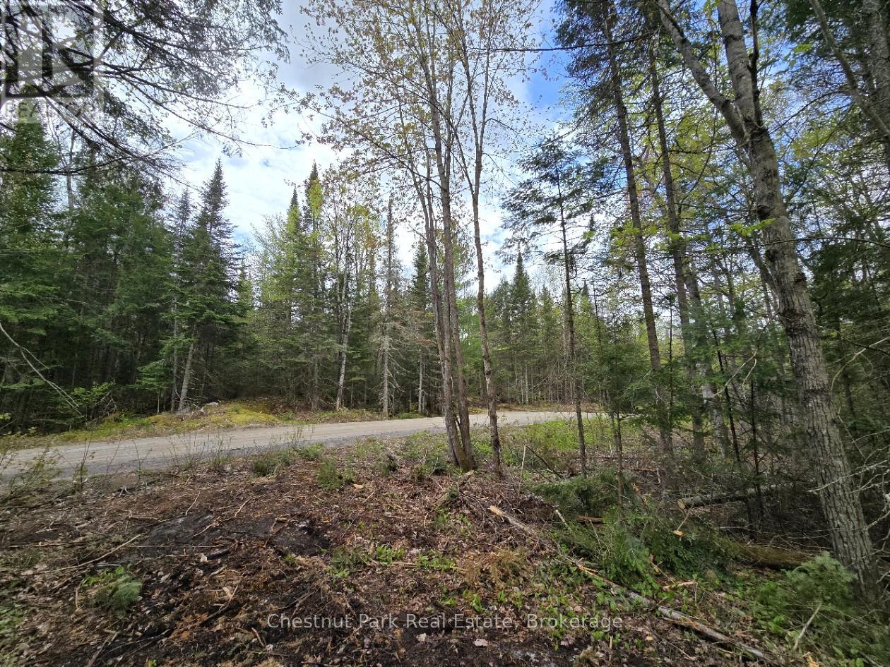 Part 2 Echo Ridge Road, Kearney, Ontario  P0A 1M0 - Photo 7 - X12156749