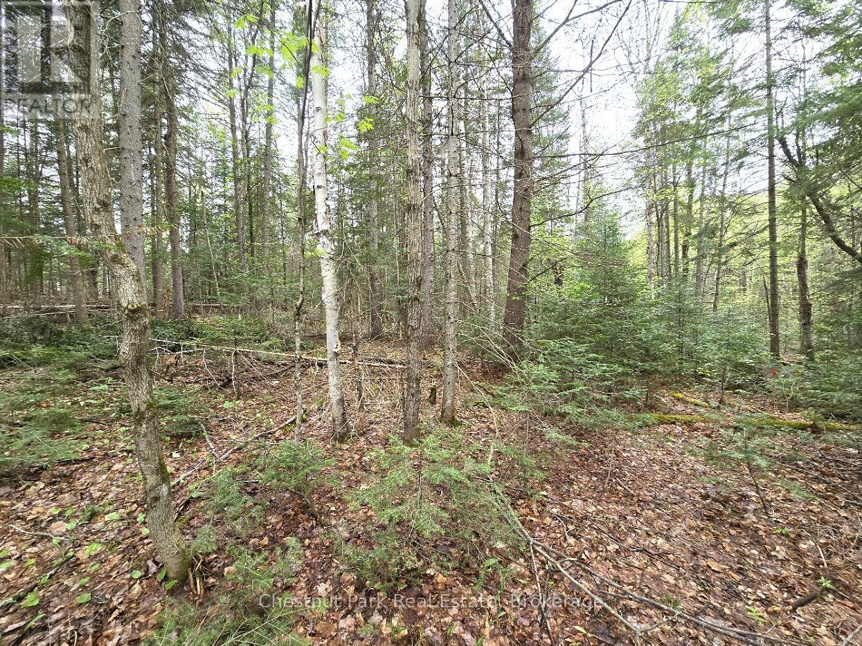 Part 4 Echo Ridge Road, Kearney, Ontario  P0A 1M0 - Photo 12 - X12156751