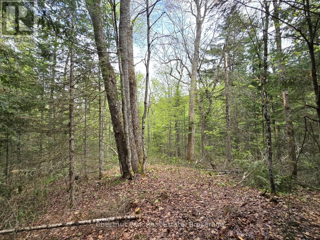 Part 4 Echo Ridge Road, Kearney, Ontario P0A 1M0 - Photo 7 - X12156751