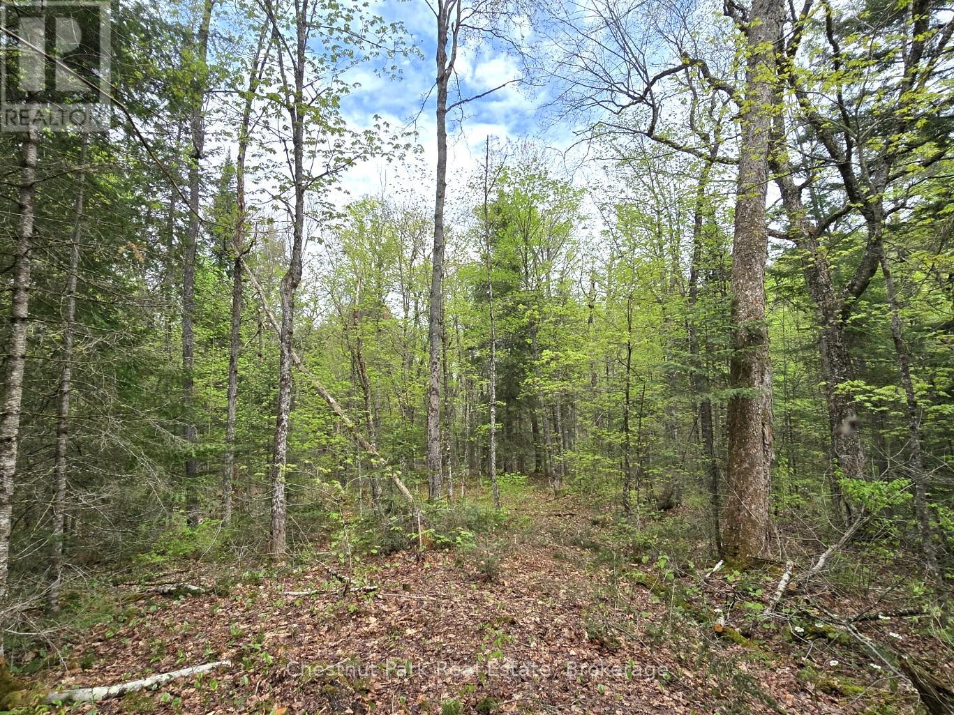 Part 4 Echo Ridge Road, Kearney, Ontario P0A 1M0 - Photo 8 - X12156751