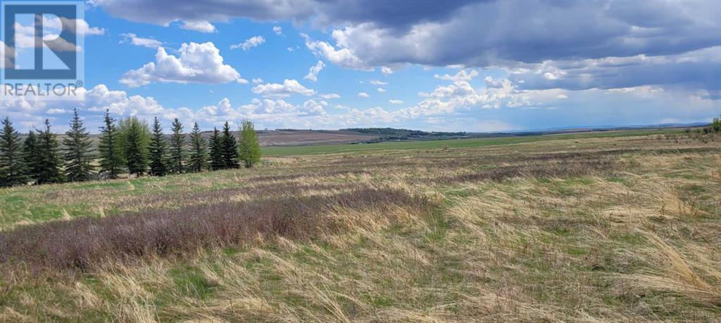 402085 6 Street W, Rural Foothills County, Alberta  T1S 6C7 - Photo 4 - A2221530