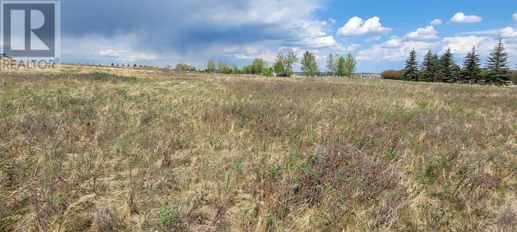 402085 6 Street W, Rural Foothills County, Alberta  T1S 6C7 - Photo 24 - A2221530