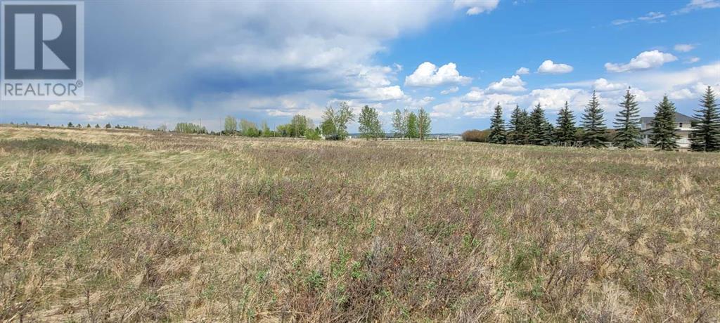 402085 6 Street W, Rural Foothills County, Alberta  T1S 6C7 - Photo 26 - A2221530