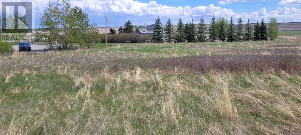 402085 6 Street W, Rural Foothills County, Alberta  T1S 6C7 - Photo 7 - A2221530