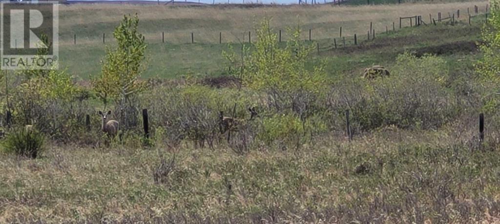 402085 6 Street W, Rural Foothills County, Alberta  T1S 6C7 - Photo 20 - A2221530