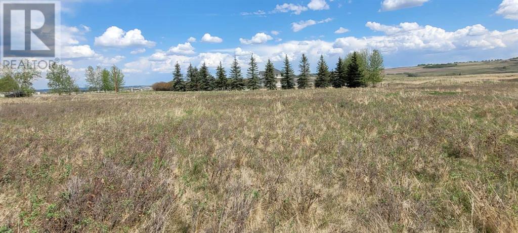 402085 6 Street W, Rural Foothills County, Alberta  T1S 6C7 - Photo 25 - A2221530