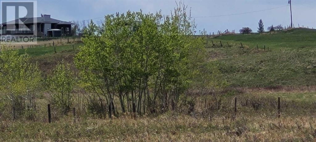 402085 6 Street W, Rural Foothills County, Alberta  T1S 6C7 - Photo 17 - A2221530