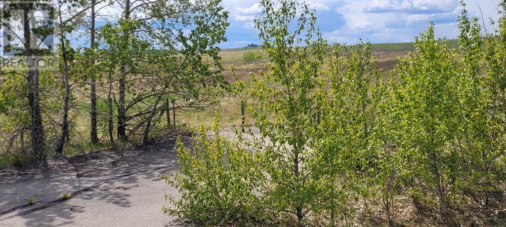 402085 6 Street W, Rural Foothills County, Alberta  T1S 6C7 - Photo 28 - A2221530