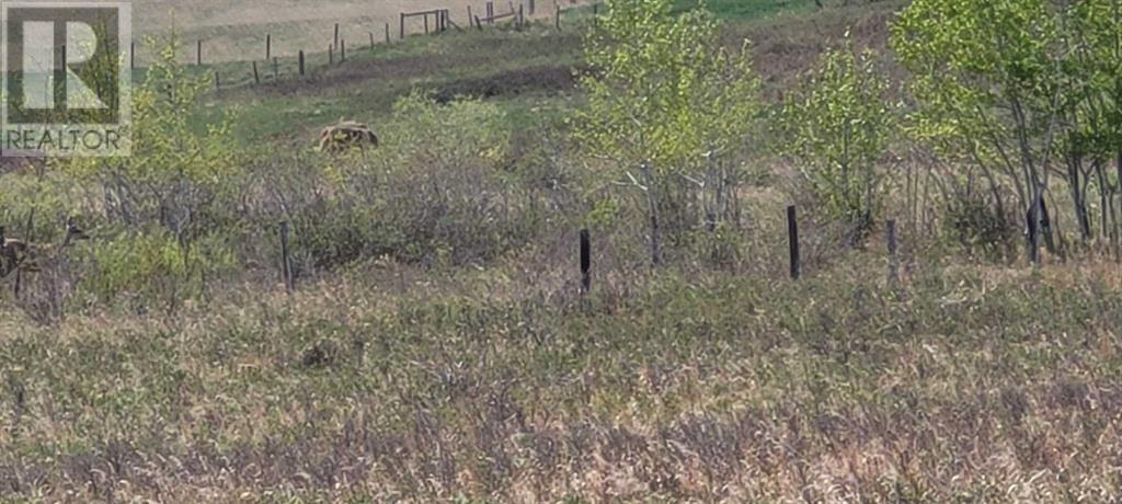 402085 6 Street W, Rural Foothills County, Alberta  T1S 6C7 - Photo 19 - A2221530