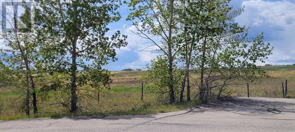402085 6 Street W, Rural Foothills County, Alberta  T1S 6C7 - Photo 35 - A2221530