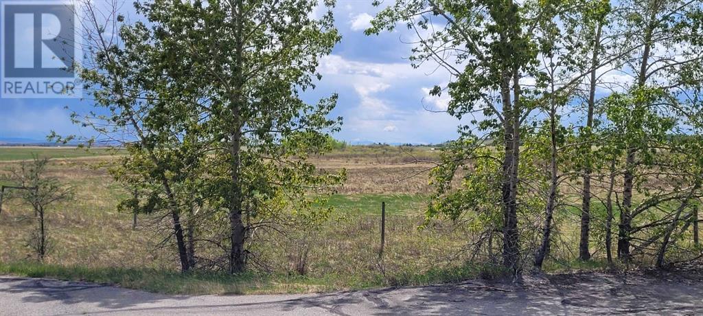 402085 6 Street W, Rural Foothills County, Alberta  T1S 6C7 - Photo 30 - A2221530