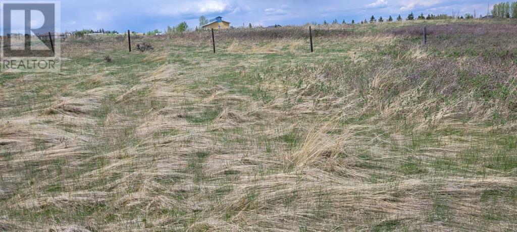 402085 6 Street W, Rural Foothills County, Alberta  T1S 6C7 - Photo 13 - A2221530