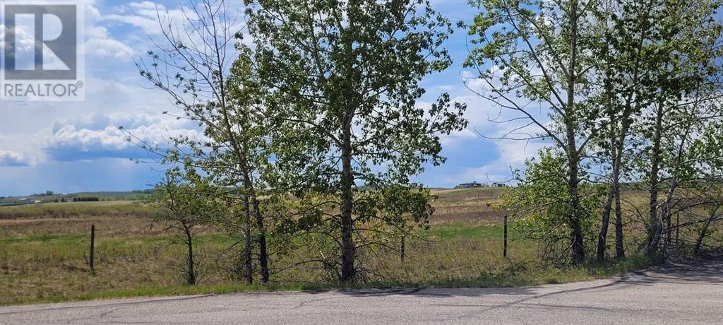 402085 6 Street W, Rural Foothills County, Alberta  T1S 6C7 - Photo 34 - A2221530