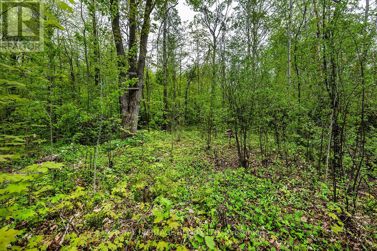 160 Mcgill Drive E, Kawartha Lakes, Ontario L0B 1K0 - Photo 26 - X12156784