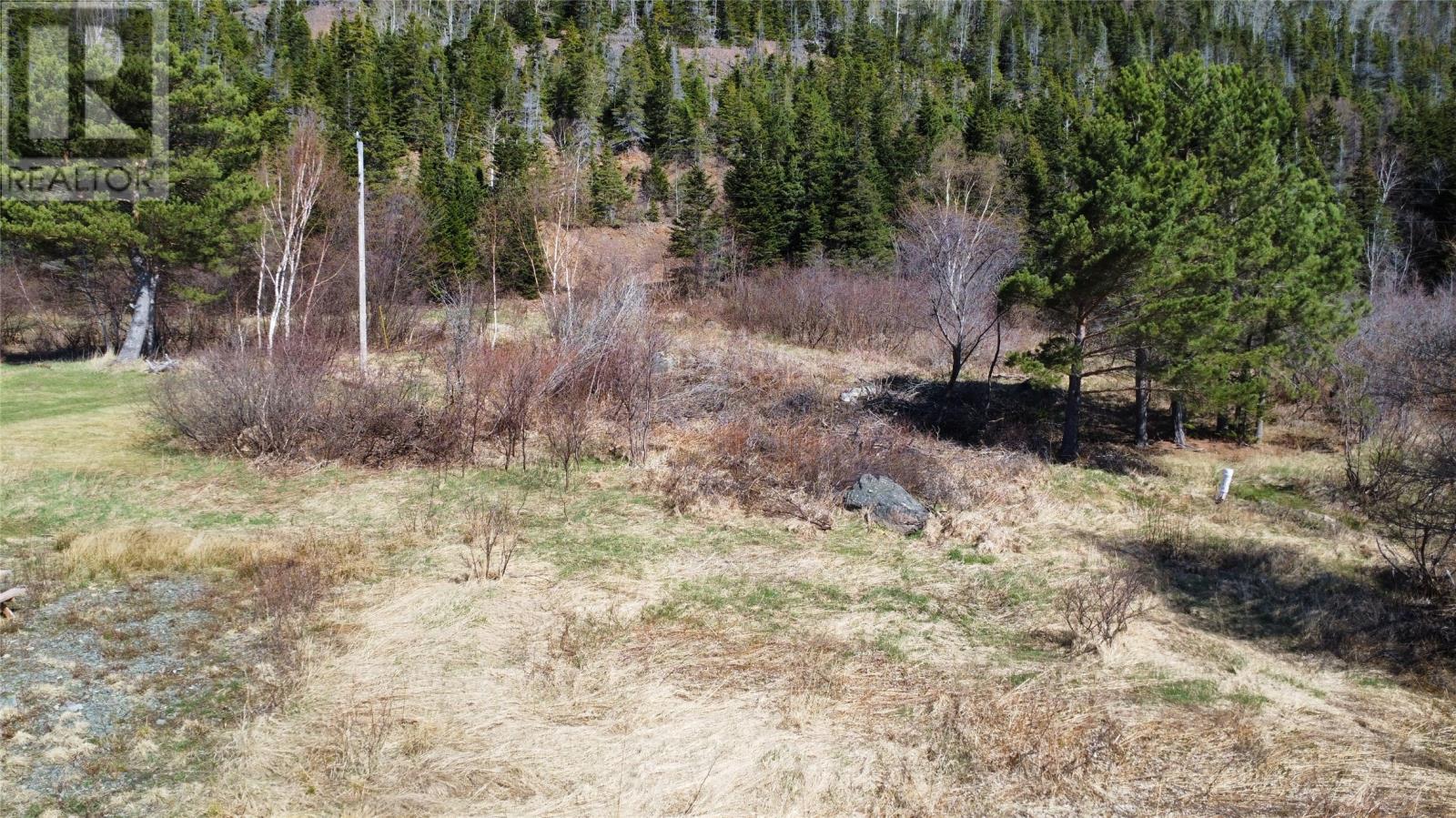 0 Main Street, Rattling Brook, Newfoundland & Labrador  A0J 1P0 - Photo 8 - 1279812