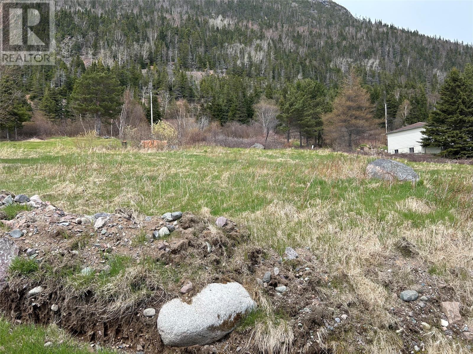 0 Main Street, Rattling Brook, Newfoundland & Labrador  A0J 1P0 - Photo 3 - 1279812