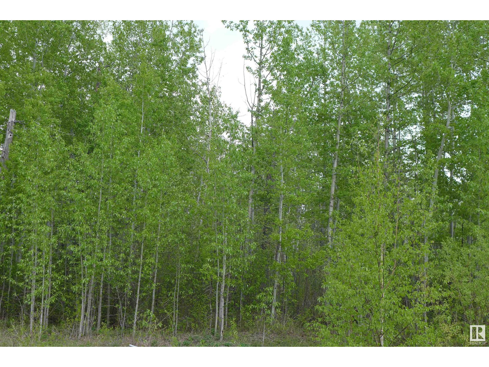 23 11032 - Hwy 13, Rural Wetaskiwin County, Alberta  T0C 2V0 - Photo 8 - E4437239