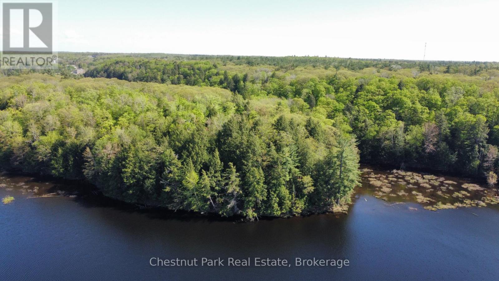 Lot B Peninsula Road, Muskoka Lakes, Ontario  P0B 1J0 - Photo 4 - X12157034