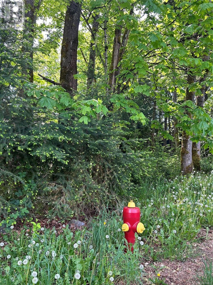 1154 2nd Ave, Ladysmith, British Columbia  V9G 1A4 - Photo 6 - 994833