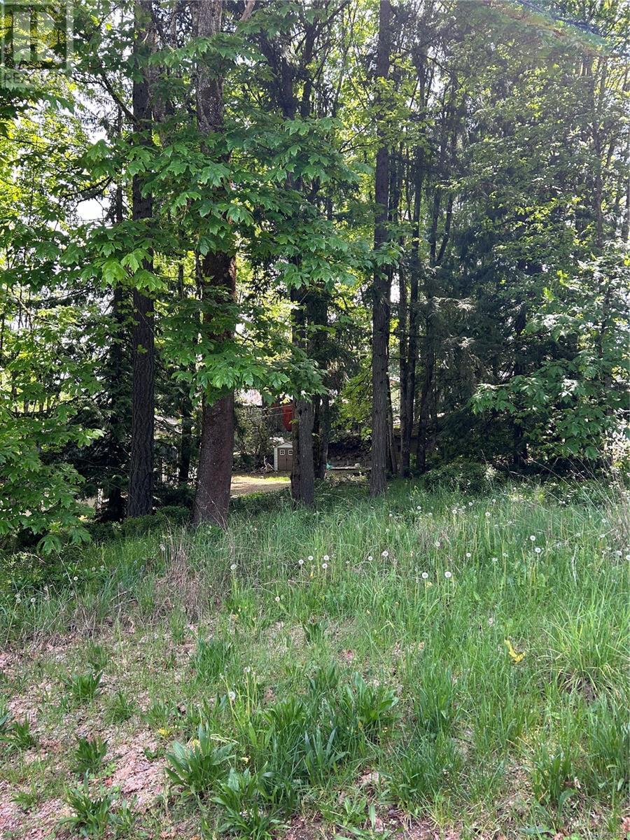 1154 2nd Ave, Ladysmith, British Columbia  V9G 1A4 - Photo 4 - 994833