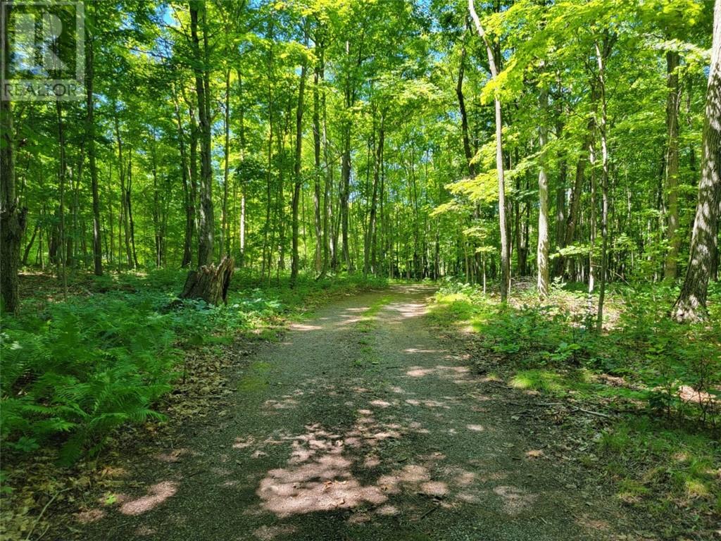 462 Maple Point Rd, Kagawong, Ontario  P0P 1J0 - Photo 64 - 2122349