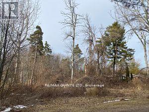 149 Evergreen Lane, Brighton, Ontario  K0K 1H0 - Photo 2 - X11974720