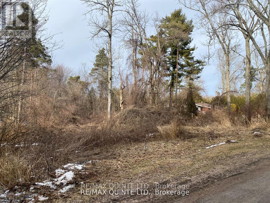 149 Evergreen Lane, Brighton, Ontario  K0K 1H0 - Photo 4 - X11974720