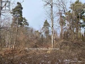 149 Evergreen Lane, Brighton, Ontario  K0K 1H0 - Photo 5 - X11974720