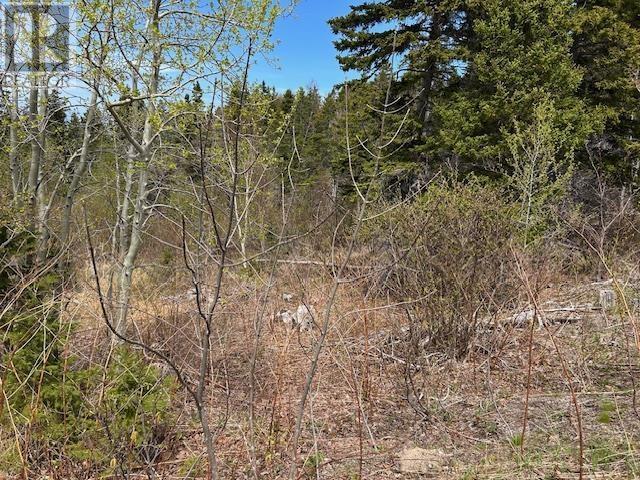 White Point Road, Smelt Brook, Nova Scotia  B0C 1J0 - Photo 11 - 202511428