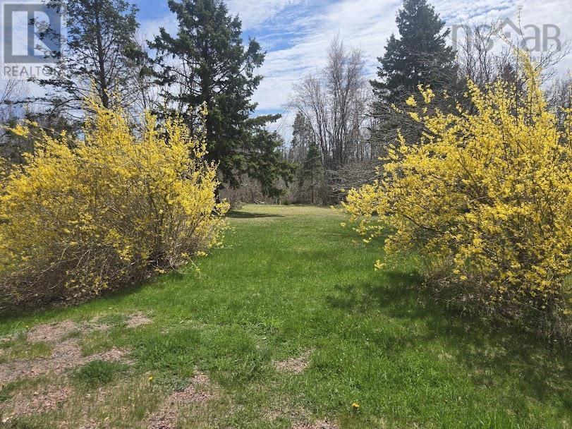 Lot B 4.6 Acres Malagash Road, Malagash, Nova Scotia  B0K 1E0 - Photo 3 - 202510176