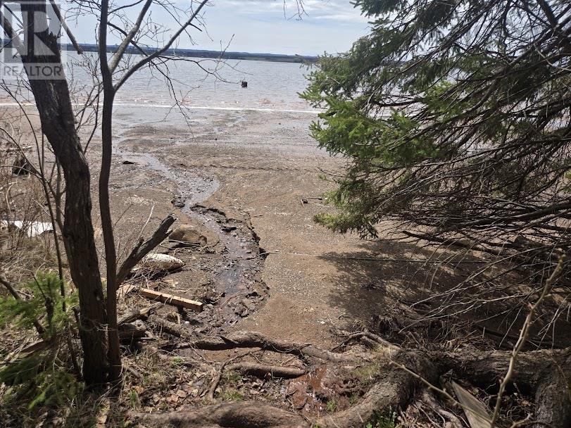 Lot B 4.6 Acres Malagash Road, Malagash, Nova Scotia  B0K 1E0 - Photo 7 - 202510176