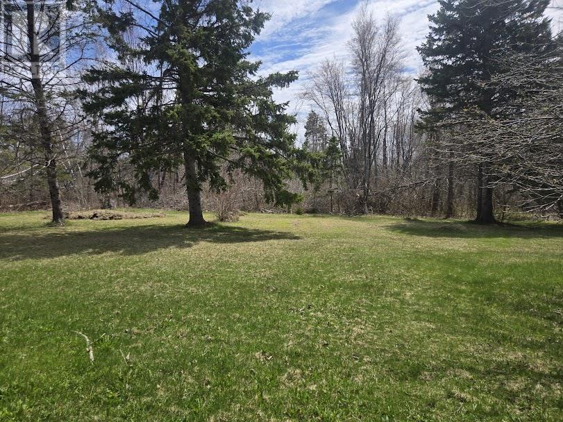 Lot B 4.6 Acres Malagash Road, Malagash, Nova Scotia  B0K 1E0 - Photo 4 - 202510176