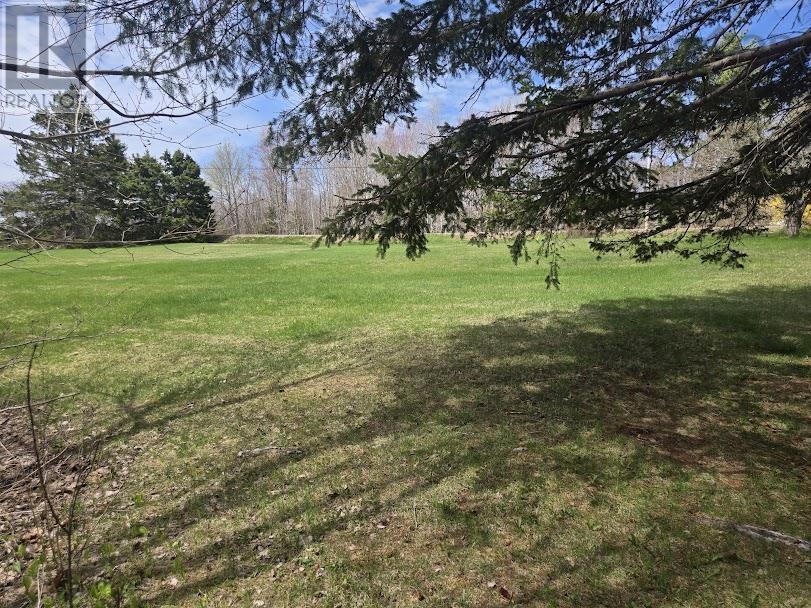 Lot B 4.6 Acres Malagash Road, Malagash, Nova Scotia  B0K 1E0 - Photo 5 - 202510176