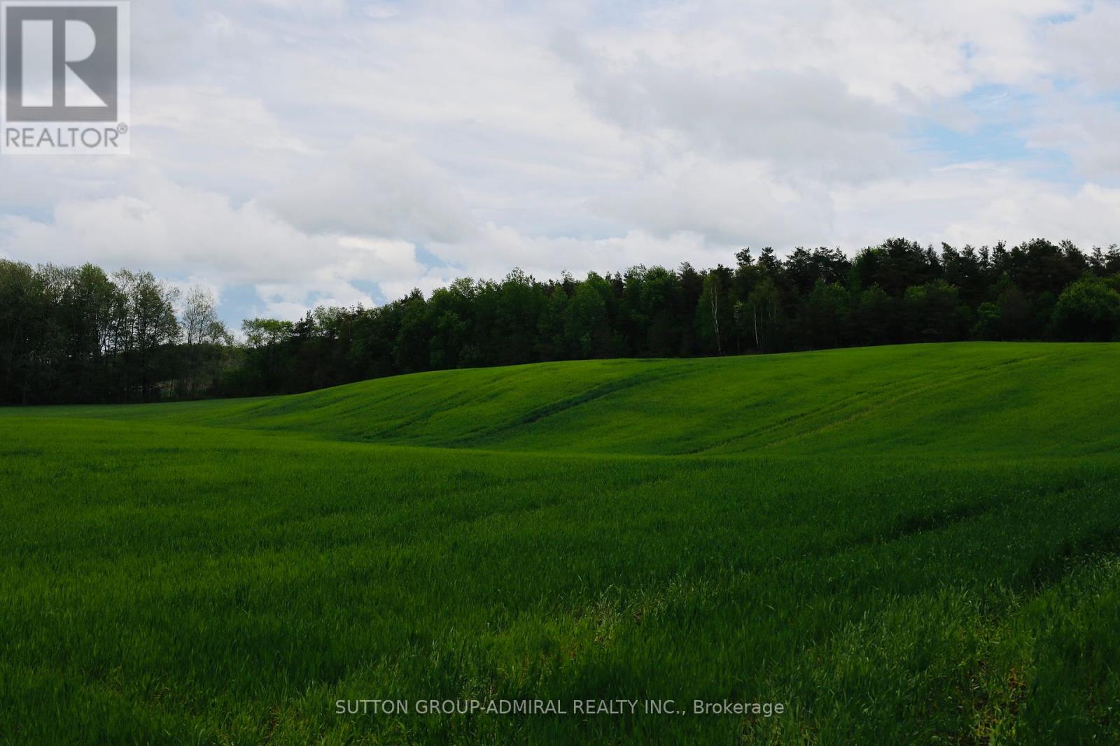 337 Regional Rd. 8 Road, Uxbridge, Ontario  L9P 1R1 - Photo 10 - N12157165