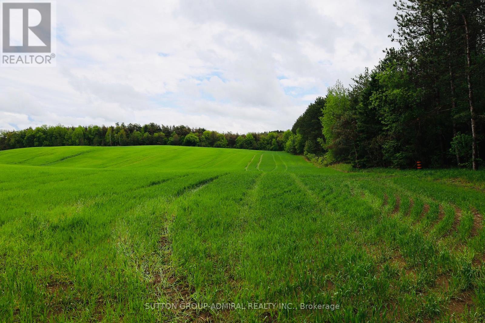 337 Regional Rd. 8 Road, Uxbridge, Ontario  L9P 1R1 - Photo 11 - N12157165