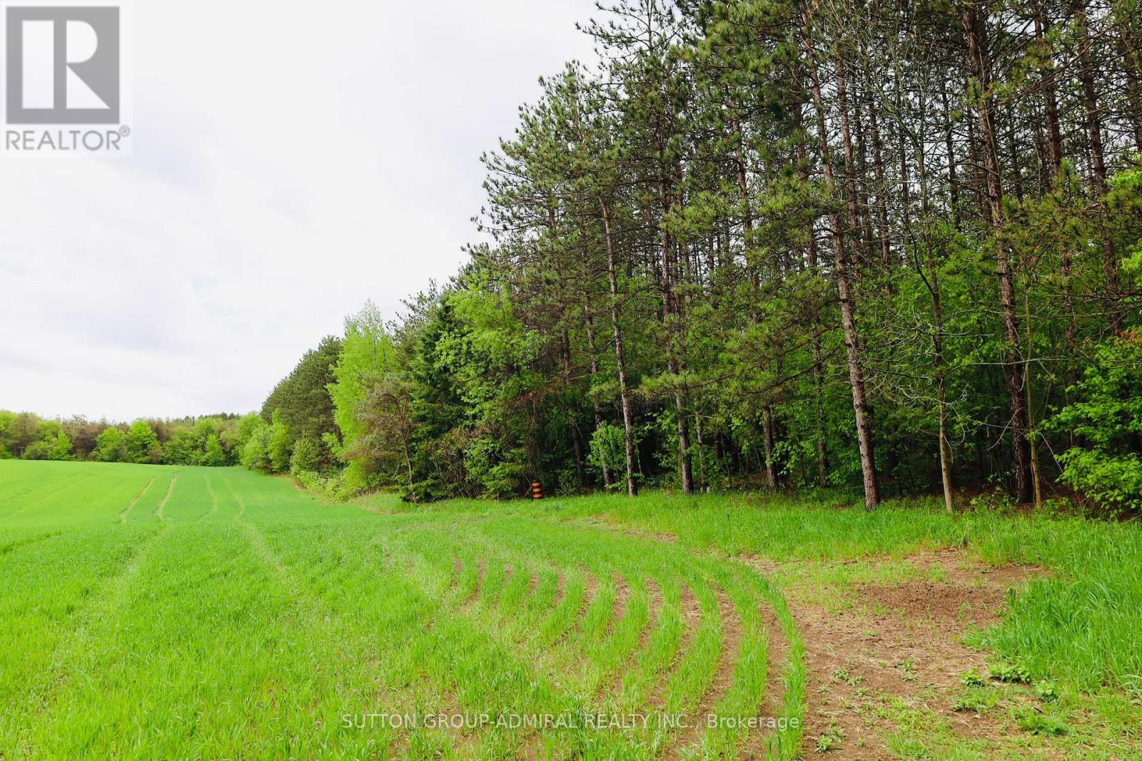 337 Regional Rd. 8 Road, Uxbridge, Ontario  L9P 1R1 - Photo 12 - N12157165