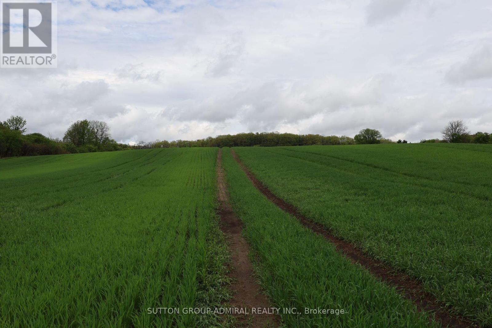 337 Regional Rd. 8 Road, Uxbridge, Ontario  L9P 1R1 - Photo 14 - N12157165