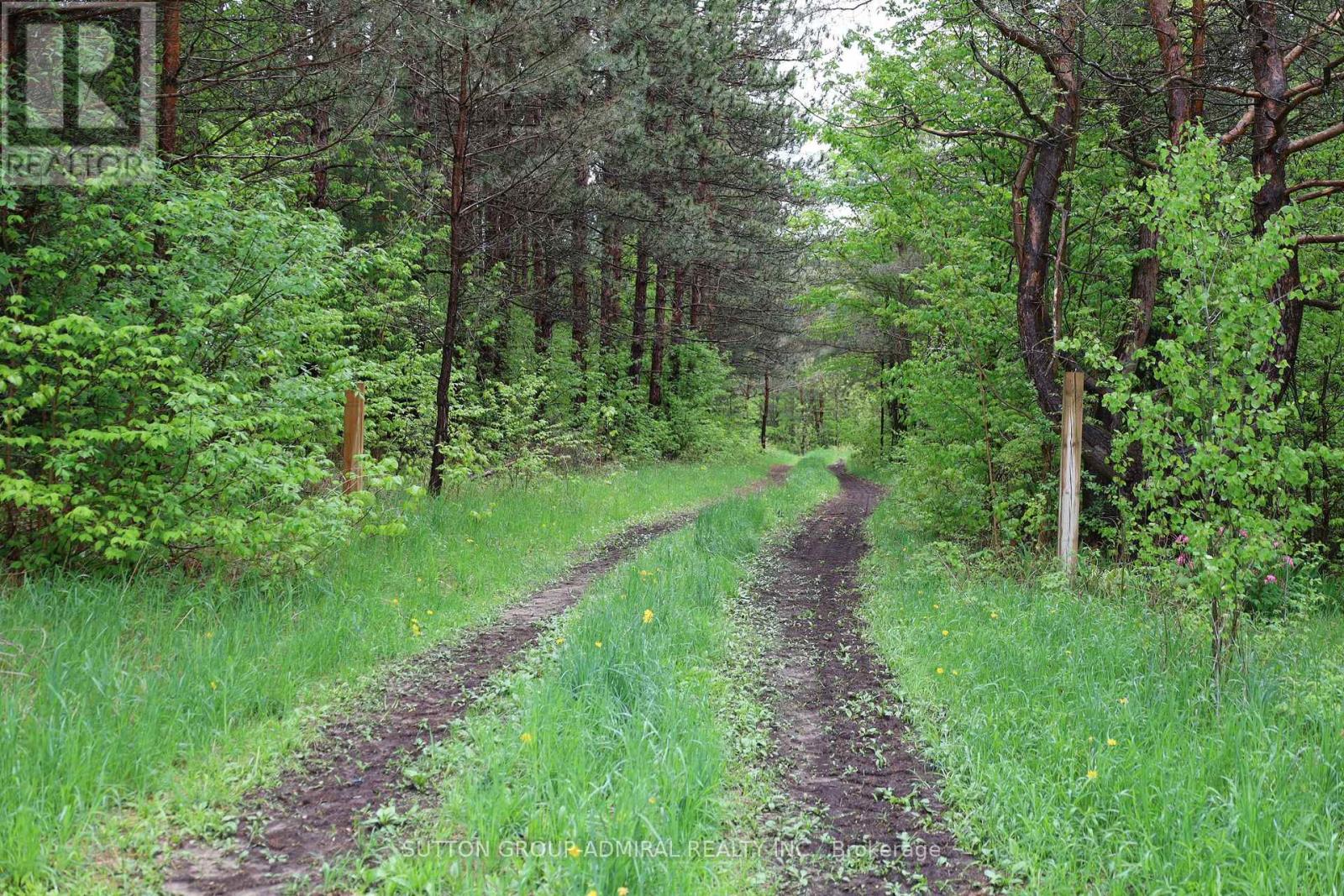 337 Regional Rd. 8 Road, Uxbridge, Ontario  L9P 1R1 - Photo 15 - N12157165
