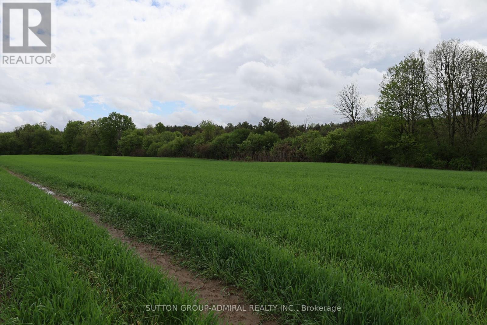 337 Regional Rd. 8 Road, Uxbridge, Ontario  L9P 1R1 - Photo 18 - N12157165
