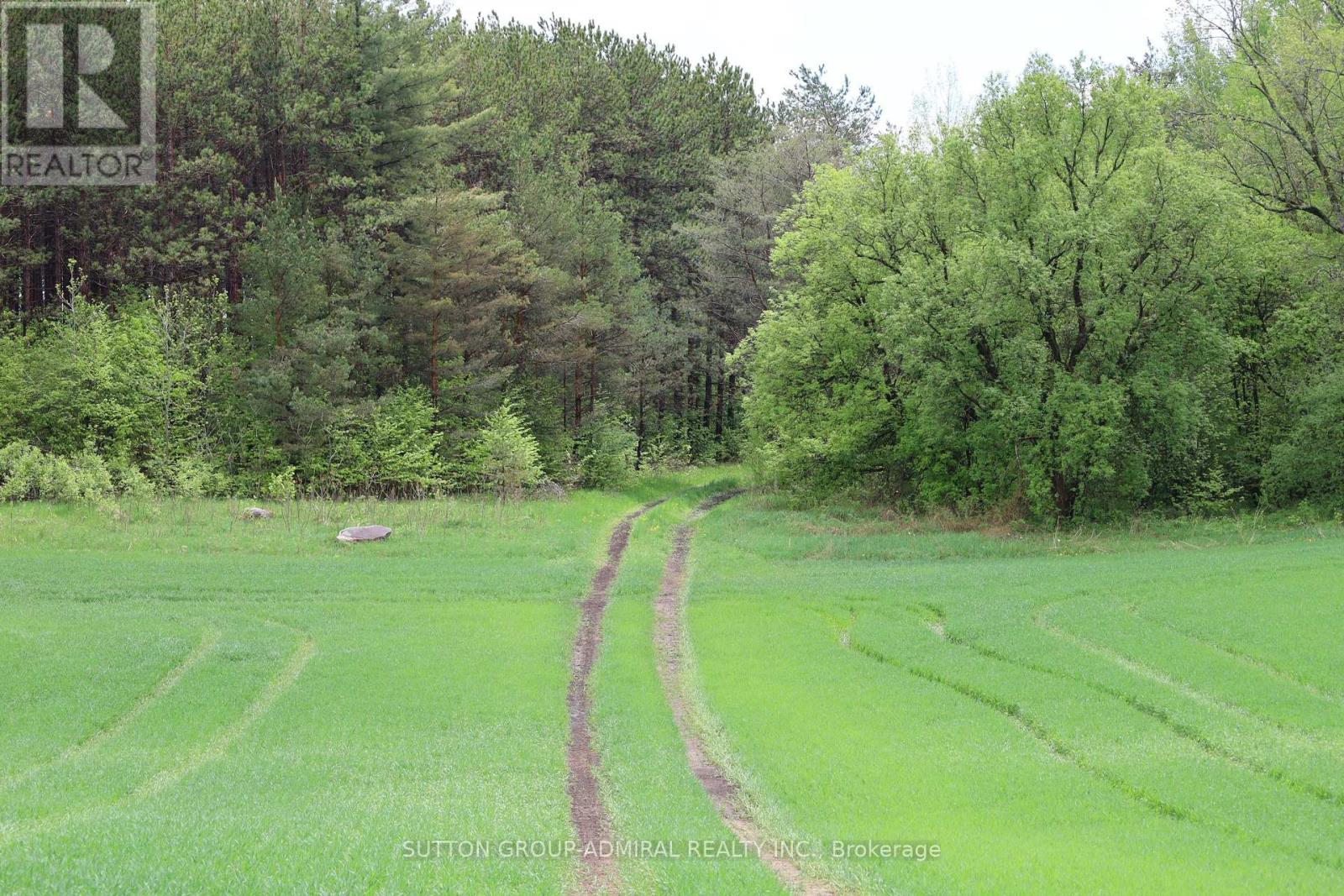 337 Regional Rd. 8 Road, Uxbridge, Ontario  L9P 1R1 - Photo 20 - N12157165