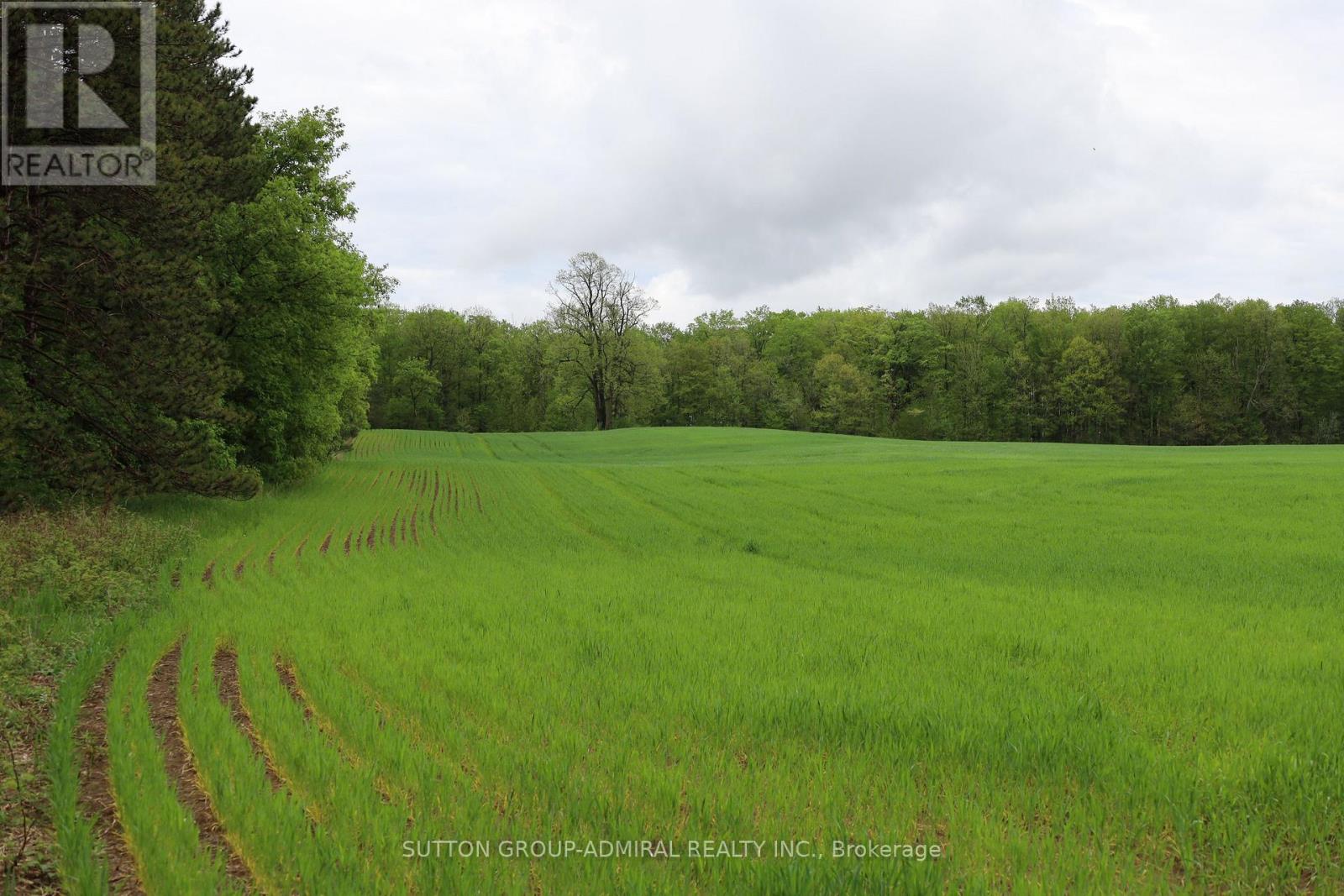 337 Regional Rd. 8 Road, Uxbridge, Ontario  L9P 1R1 - Photo 9 - N12157165