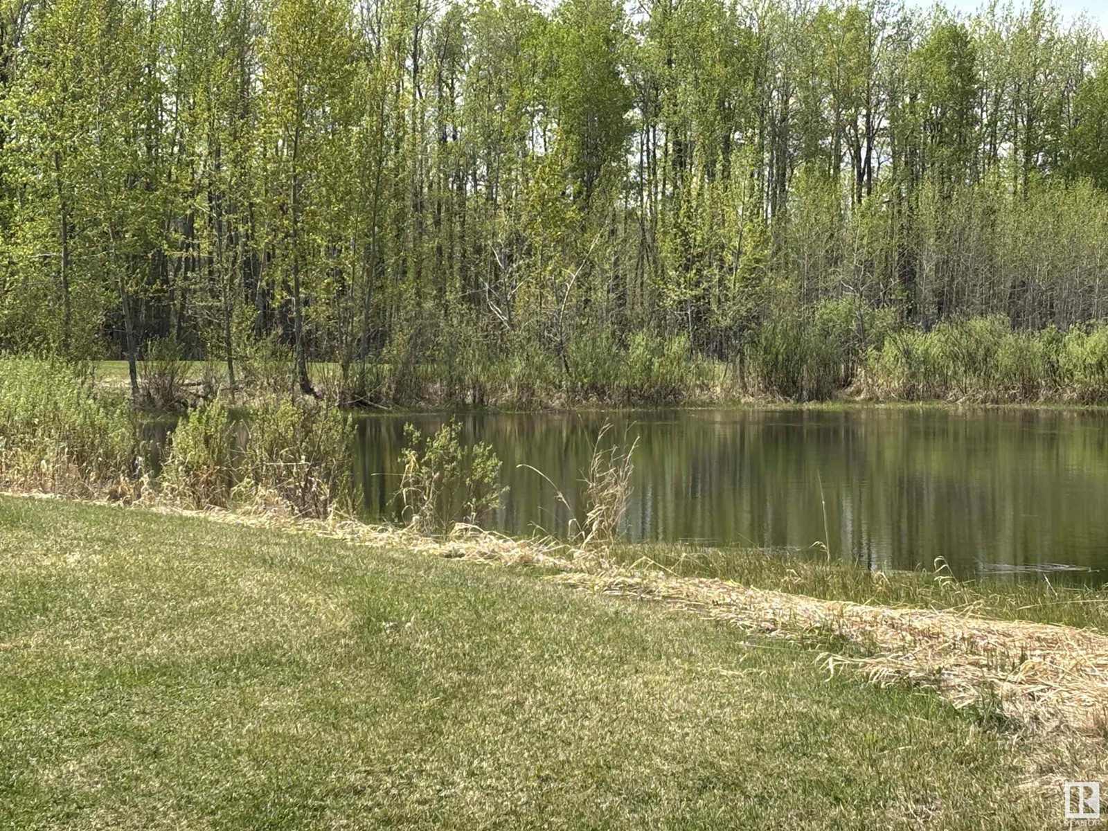 53510 Rr 20, Rural Lac Ste. Anne County, Alberta  T0E 1V0 - Photo 5 - E4435698