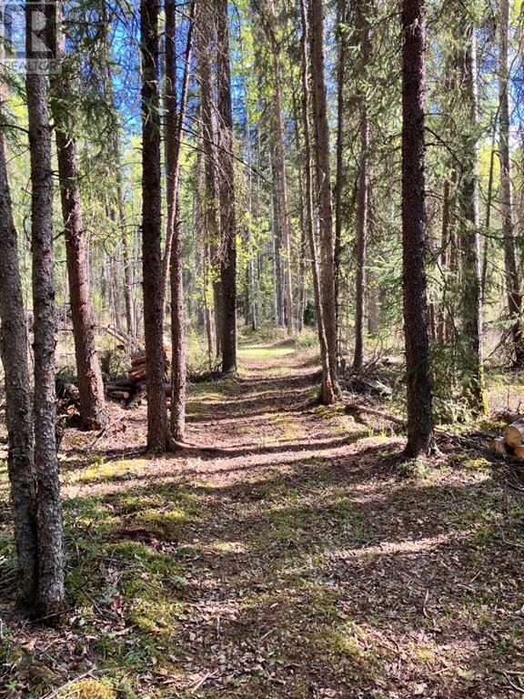 54014 Range Road 135, Rural Yellowhead County, Alberta  T7E 5G1 - Photo 35 - A2222283