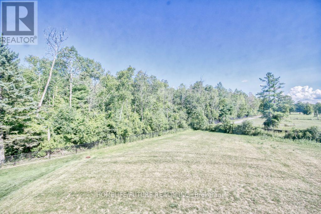 99 Scotia Road, Georgina, Ontario  L0E 1R0 - Photo 23 - N12157213