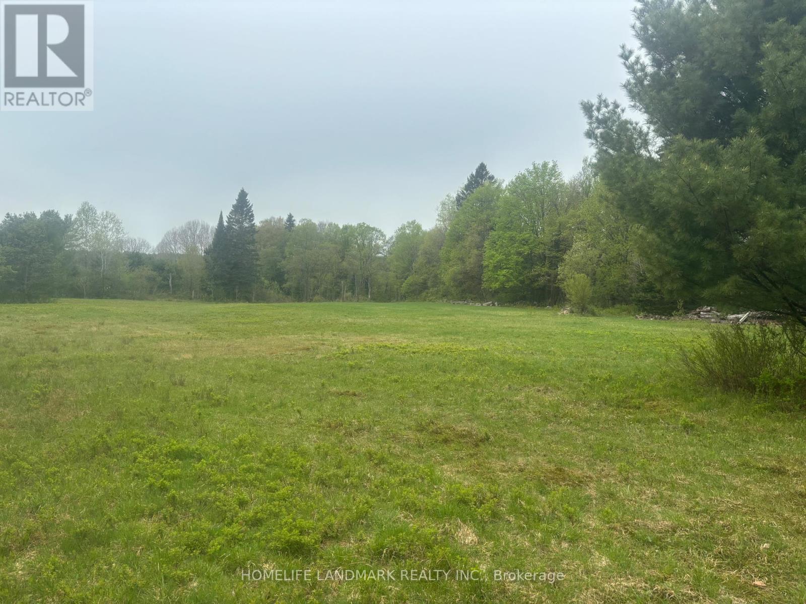 1995 Bear Cave Road, Muskoka Lakes, Ontario  P0C 1J0 - Photo 8 - X12111246
