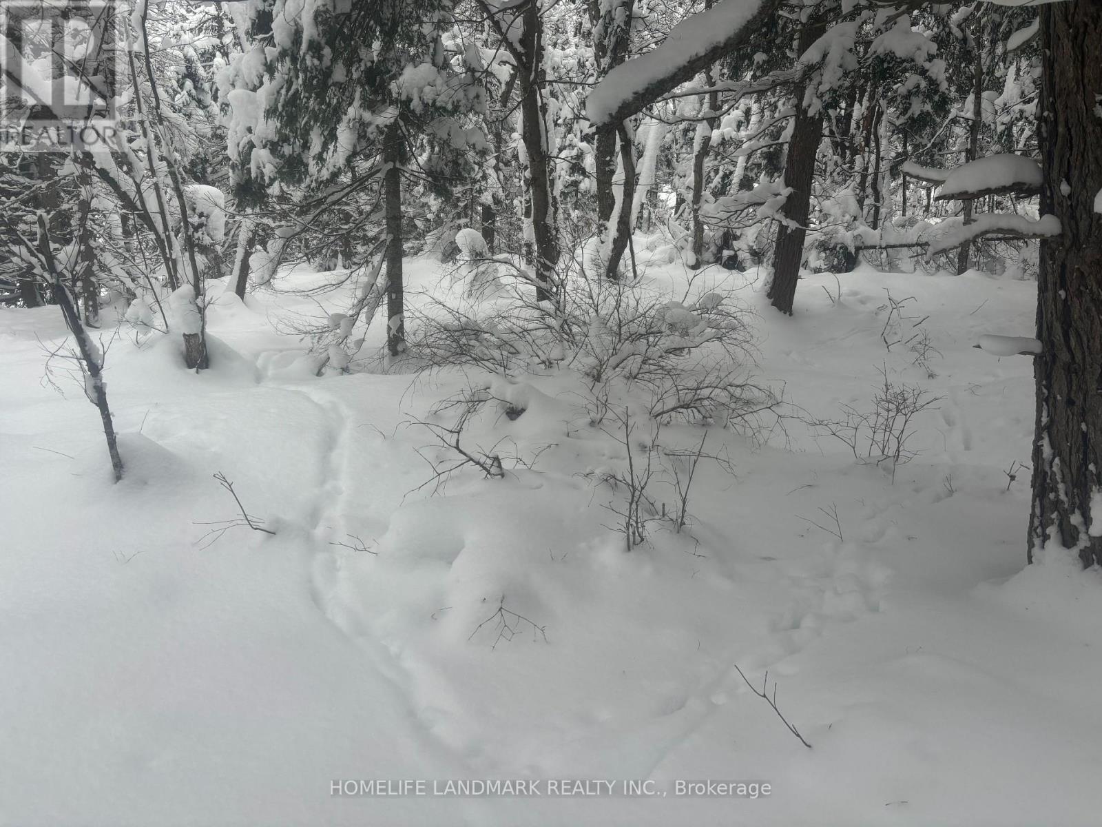 1995 Bear Cave Road, Muskoka Lakes, Ontario  P0C 1J0 - Photo 23 - X12111246